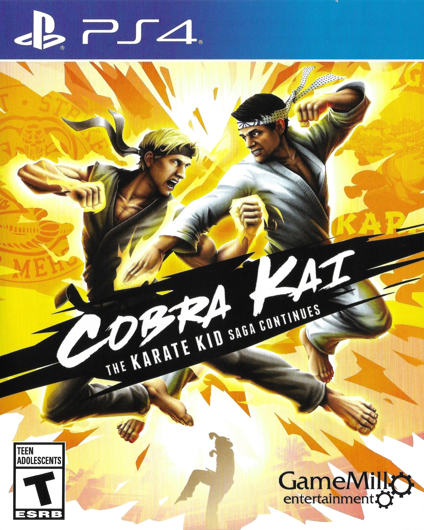 Cobra Kai: The Karate Kid Saga Continues (PS4)