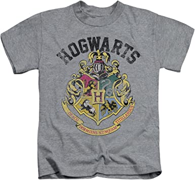 Camisa de Harry Potter: Hogwarts